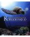 Fascination Coral Reef (3D Blu-ray) - 1t