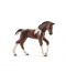 Figurina Schleich Farm World Horses - Calut Trakehner - 1t