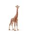 Figurina Schleich  Wild Life Africa - Girafa reticulata, femela - 1t