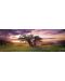 Puzzle panoramic Heye de 2000 piese - Stejarul, Alexander von Humboldt - 2t