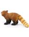 Figurina Schleich Wild Life Asia and Australia - Panda rosu - 2t