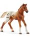 Set figurine Schleich Horse Club - Pentru turneele Lisei - 5t