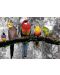 Puzzle Educa de 500 piese - Birds on the Jungle - 2t