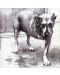 Alice in Chains - Alice In Chains (CD) - 1t