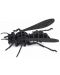 Puzzle 3D Kikkerland - Insecta, sortiment - 2t