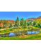 Puzzle Bluebird de 1000 piese - Stowe, Vermont SUA - 2t