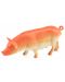Set figurine Тoi Toys Animal World - Deluxe, Animale de casa, 5 bucati - 7t