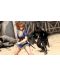 Ninja Gaiden 3 Razor's Edge (Xbox 360) - 3t