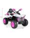 Buggy baterie Moni - Windy DLX-288, roz - 9t