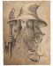 Tablou Art Print Weta Movies: Lord of the Rings - Portrait of Gandalf the Grey - 1t