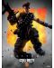 Tablou Art Print Pyramid Games: Call of Duty - Battery	 - 1t