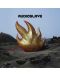 Audioslave - Audioslave (2 Vinyl)	 - 1t