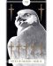 Avian Tarot (78 Cards and Guidebook) - 3t
