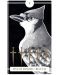 Avian Tarot (78 Cards and Guidebook) - 5t