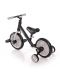 Bicicleta de echilibru Lorelli - Energy 2 în 1, negru și gri - 3t