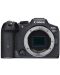 Canon Mirrorless Camera - EOS R7, negru - 1t