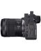 Cameră fără oglindă Canon - EOS R6, RF 24-105mm, f/4-7.1 IS STM, negru - 5t