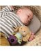 Zrăgănitoare moale pentru bebeluș și dentiție Taf Toys - Jenny iepurașul - 2t