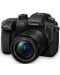 Aparat foto fără oglindă Panasonic - Lumix G GH5 II, 12-60mm, Black - 1t