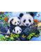 Puzzle Bluebird de 100 piese - Panda Family, Jenny Newland - 1t