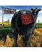 Blink-182 - Dude Ranch (CD) - 1t
