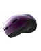 Mouse wireless Canyon - CNS-CMSW01P, optic, wireless, mov - 3t