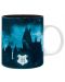 Cana Abysse Harry Potter - Expecto Patronum - 2t