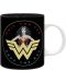 Cana ABYstyle DC Comics: Wonder Woman - WW84 - 1t