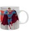 Cana ABYstyle DC Comics: Superman - Superman and Krypto - 1t