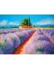 Puzzle Clementoni de 500 piese -Lavender Scene - 2t