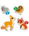 Puzzle bebeb Clementoni 4 in 1 - Animalele din padure - 2t