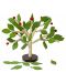 Smart Baby Puzzle 3D din lemn - Copac cu frunze de primăvară - 1t