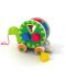 Jucărie din lemn Acool Toy - Turtle sorter cu roți - 2t