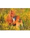 Puzzle pentru copii Ravensburger din 100 XXL piese -Ponei Shetland - 2t