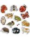 Galt Kids Puzzle Game - Colecționează animalele, 74 piese - 2t