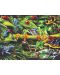 Puzzle pentru copii Ravensburger  din 35 piese - Amfibieni uimitori - 2t