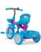 Tricicleta pentru copii Milly Mally - Axel, albastru/roz - 2t