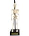 Jucarie pentru copii Rex London - Model anatomic al unui schelet - 1t