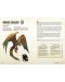 Supliment RPG Dungeons & Dragons: Young Adventurer's Guides - Beasts & Behemoths - 4t
