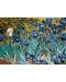 Puzzle Eurographics de 1000 piese – Irisi, Vincent van Gogh - 2t