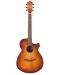 Chitară electrică acustică Ibanez - AEG70, Vintage Violin High Gloss - 2t