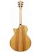 Chitara electrica acustica Ibanez - AE295MYW, Natural Low Gloss	 - 3t