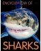 Encyclopedia of Sharks (Miles Kelly) - 1t