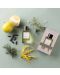 Essential Parfums Apă de parfum Nice Bergamote by Antoine Maisondieu, 100 ml - 4t