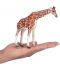 Figura Mojo Wildlife - Girafă, femelă  - 3t