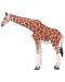 Figura Mojo Wildlife - Girafă, femelă  - 1t