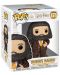 Figurină Funko POP! Movies: Harry Potter - Rubeus Hagrid #171, 15 cm - 2t