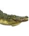 Figurina  Mojo Wildlife - Crocodil cu maxilar mobil - 3t