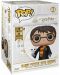Figurina Funko Pop! Harry Potter: Wizarding World - Harry Potter With Hedwig #01 - 2t