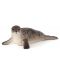 Figurina Mojo Sealife - Foca gri cu nasul lung - 1t